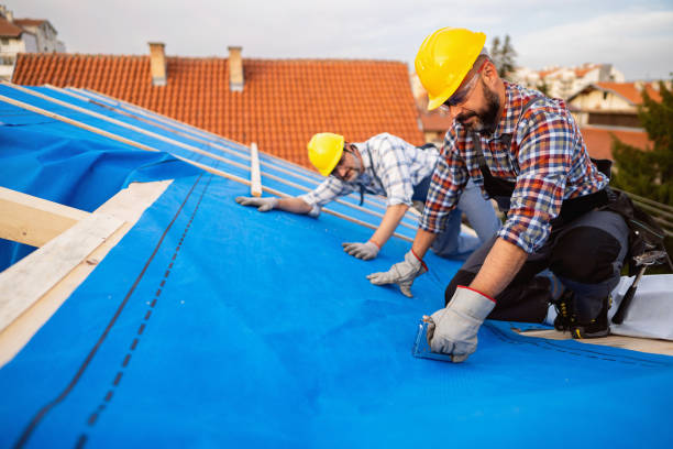 Best Roof Restoration Services  in Tillson, NY