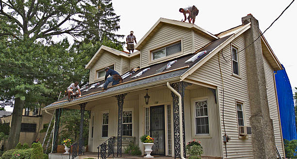 Best Roof Gutter Cleaning  in Tillson, NY